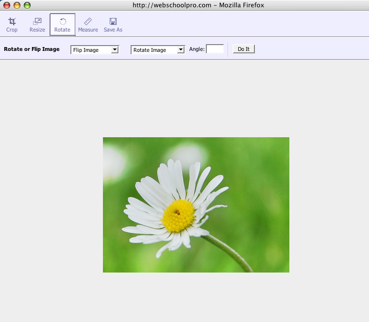 Picture_17.png