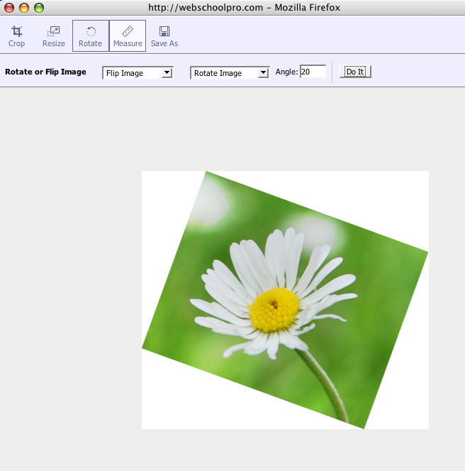 Picture_23.png